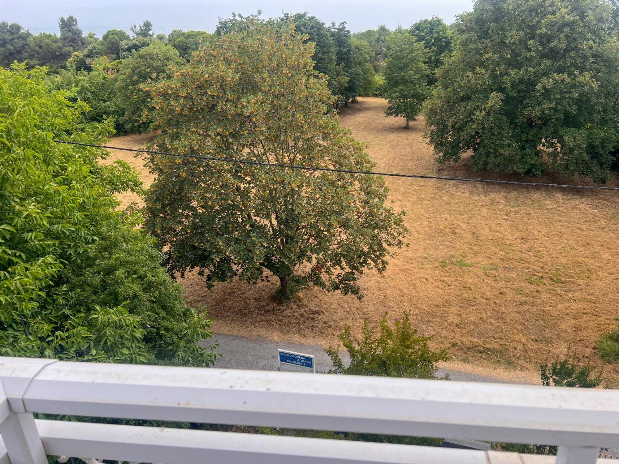 Prado Apartment Hotel Limin Litochorou Bilik gambar